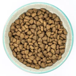 Burns Chicken & Brown Rice Dry Cat Food - 2kg By Burns -Cat's Store Burns Chicken Brown Rice Dry Cat Food 2kg 4