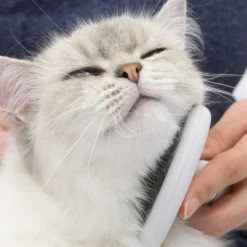 Catit Grooming Kit For Long Haired Cats By Catit -Cat's Store Catit Grooming Kit for Long Haired Cats 5