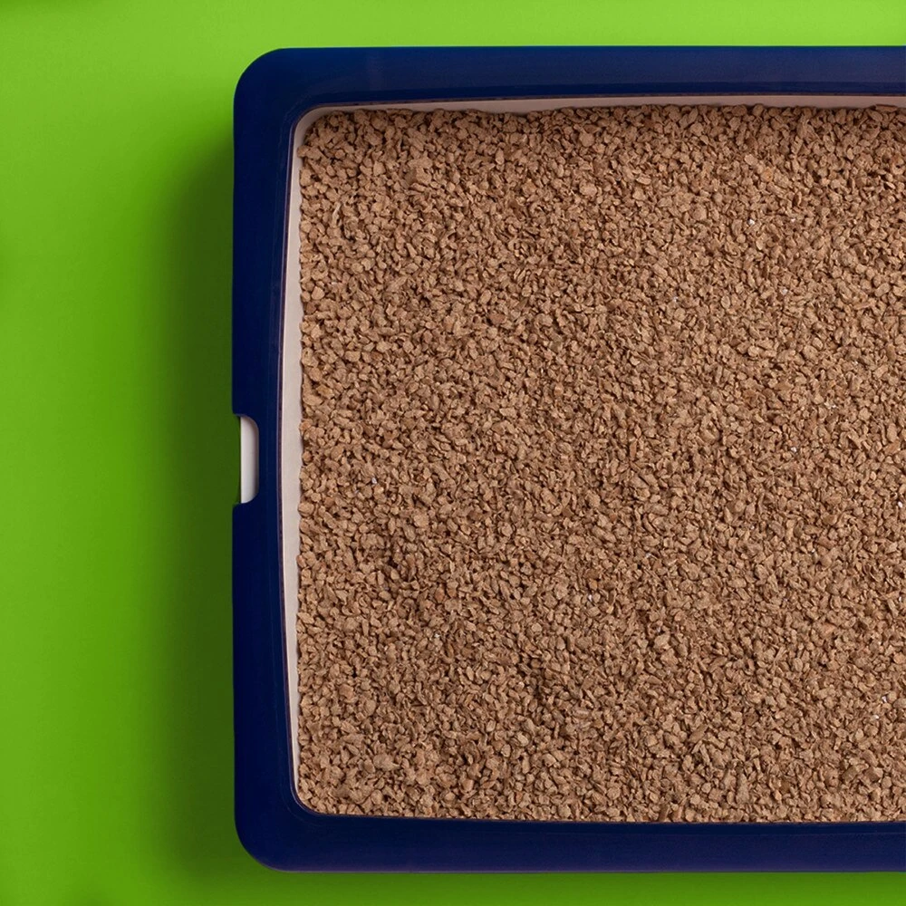 Catsan Wood Comfort Non Clumping Cat Litter - 20L By Catsan 8 Catsan Wood Comfort Non Clumping Cat Litter - 20L By Catsan - Image 8