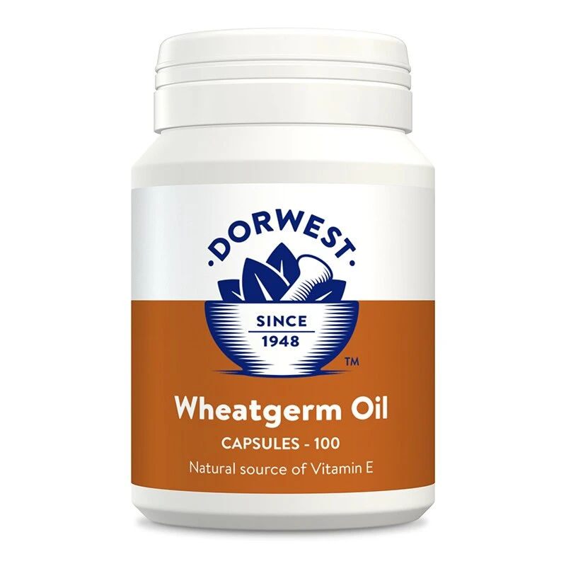 Dorwest Wheatgerm Oil Capsules For Dogs And Cats - 500 Capsules By Dorwest 1 Dorwest Wheatgerm Oil Capsules For Dogs And Cats - 500 Capsules By Dorwest