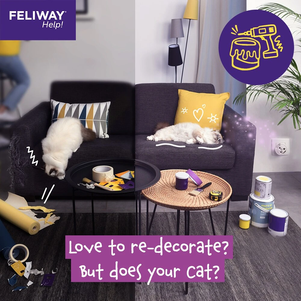 Feliway Help! Calming Diffuser & 7 Day Cartridge For Cats By Feliway 4 Feliway Help! Calming Diffuser & 7 Day Cartridge For Cats By Feliway - Image 4