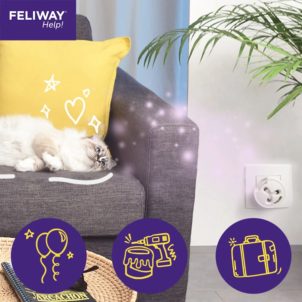 Feliway Help! Calming Diffuser & 7 Day Cartridge For Cats By Feliway 6 Feliway Help! Calming Diffuser & 7 Day Cartridge For Cats By Feliway - Image 6