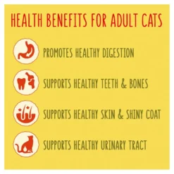 Go Cat Duck & Chicken Dry Cat Food - 4kg By Go Cat -Cat's Store Go Cat Duck Rabbit Chicken Dry Cat Food 4kg 4