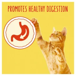 Go Cat Tuna, Herring & Veg Dry Cat Food - 10kg By Go Cat -Cat's Store Go Cat Tuna Herring Veg Dry Cat Food 10kg 3