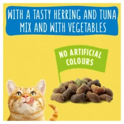 Go Cat Tuna, Herring & Veg Dry Cat Food - 10kg By Go Cat -Cat's Store Go Cat Tuna Herring Veg Dry Cat Food 10kg 5