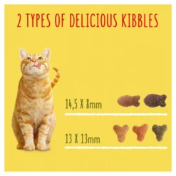 Go Cat Tuna, Herring & Veg Dry Cat Food - 10kg By Go Cat -Cat's Store Go Cat Tuna Herring Veg Dry Cat Food 10kg 6