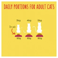 Go Cat Tuna, Herring & Veg Dry Cat Food - 10kg By Go Cat -Cat's Store Go Cat Tuna Herring Veg Dry Cat Food 10kg 7