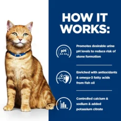 Hill's Prescription Diet C/D Multicare Minced With Chicken Cat Food Cans - 24 X 156g By Hills Prescription Diet 18 Hill's Prescription Diet C/D Multicare Minced With Chicken Cat Food Cans - 24 X 156g By Hills Prescription Diet -Cat's Store Hills Prescription Diet C D Multicare Minced with Chicken Cat Food Cans 24 x 156g 6