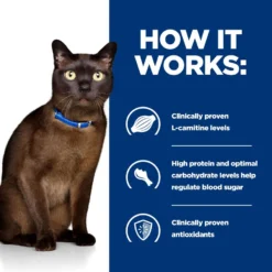 Hills Prescription Diet Feline M/D Cat Food - 3kg By Hills Prescription Diet -Cat's Store Hills Prescription Diet Feline M D Cat Food 3kg 6