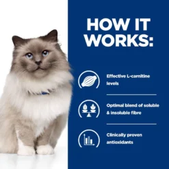 Hill's Prescription Diet R/D Weight Loss Chicken Dry Cat Food - 3kg By Hills Prescription Diet -Cat's Store Hills Prescription Diet R D Weight Loss Chicken Dry Cat Food 3kg 5