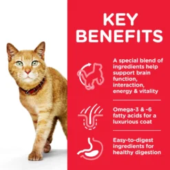 Hill's Science Plan Adult 7+ Youthful Vitality Chicken Dry Cat Food - 7kg By Hills -Cat's Store Hills Science Plan Adult 7 Youthful Vitality Chicken Dry Cat Food 7kg 3