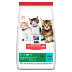 Hill's Science Plan Kitten Tuna Dry Cat Food -1.5Kg By Hills