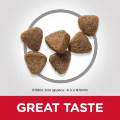 Hill's Science Plan Kitten Tuna Dry Cat Food -1.5Kg By Hills -Cat's Store Hills Science Plan Kitten Tuna Dry Cat Food 2Kg 5