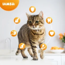 Iams For Vitality Dental Care With Chicken Adult Dry Cat Food - 10kg By Iams -Cat's Store Iams for Vitality Dental Care With Chicken Adult Dry Cat Food 10kg 3
