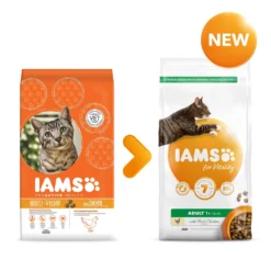 Iams For Vitality Dental Care With Chicken Adult Dry Cat Food - 10kg By Iams -Cat's Store Iams for Vitality Dental Care With Chicken Adult Dry Cat Food 10kg 4