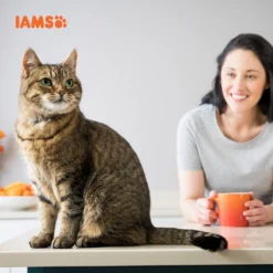 Iams For Vitality Dental Care With Chicken Adult Dry Cat Food - 10kg By Iams -Cat's Store Iams for Vitality Dental Care With Chicken Adult Dry Cat Food 10kg 6