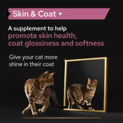 PRO PLAN Cat Adult And Senior Skin And Coat Supplement Oil - 150ml By Pro Plan -Cat's Store PRO PLAN Cat Adult And Senior Skin And Coat Supplement Oil 150ml 4