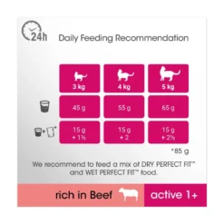 Perfect Fit Complete Dry Adult Cat Food Beef - 7kg By Perfect Fit -Cat's Store Perfect Fit Complete Dry Adult Cat Food Beef 7kg 3
