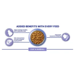 Purina ONE Adult Coat & Hairball Dry Cat Food - 2.8kg By Purina ONE -Cat's Store Purina ONE Adult Coat Hairball Dry Cat Food 2.8kg 6