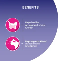 Purina One Chicken And Whole Grain Junior/Kitten Dry Cat Food - 2.8kg By Purina ONE -Cat's Store Purina ONE Adult Kitten Junior Food Chicken and Whole Grain Dry Cat Food 2.8KG 3