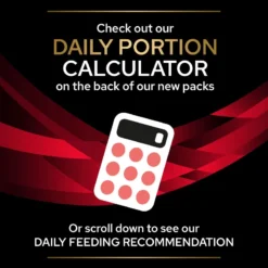 Pro Plan Veterinary Diet Feline DM ST/OX Diabetes Management Dry Cat Food - 5kg By Pro Plan Veterinary Diet -Cat's Store Purina Veterinary Diet Feline DM ST OX Diabetes Management Dry Cat Food 5Kg 8