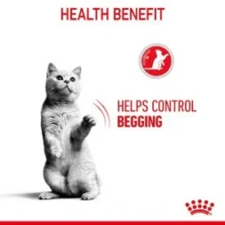 Royal Canin Adult Appetite Control Wet Cat Food Pouches In Gravy - 12 X 85g By Royal Canin -Cat's Store Royal Canin Adult Appetite Control Wet Cat Food Pouches in Gravy 12 x 85g 4