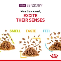 Royal Canin Adult Sensory Taste In Jelly Wet Cat Food Pouches - 12 X 85g By Royal Canin -Cat's Store Royal Canin Adult Sensory Taste In Jelly Wet Cat Food Pouches 12 x 85g 4