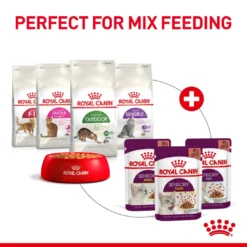Royal Canin Adult Sensory Taste In Jelly Wet Cat Food Pouches - 12 X 85g By Royal Canin -Cat's Store Royal Canin Adult Sensory Taste In Jelly Wet Cat Food Pouches 12 x 85g 7