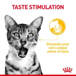Royal Canin Adult Sensory In Gravy Variety Pack Wet Cat Food Pouches - 12 X 85g By Royal Canin -Cat's Store Royal Canin Adult Sensory Variety In Gravy Wet Cat Food Pouches 12 x 85g 5