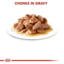 Royal Canin Feline Care Nutrition Urinary Care Wet Cat Food In Gravy - 48x85g By Royal Canin -Cat's Store Royal Canin Feline Care Nutrition Urinary Care Wet Cat Food In Gravy 48x85g 4