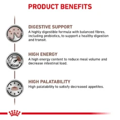 Royal Canin Veterinary Diet Feline Gastro-Intestinal S/O Dry Cat Food - 4kg By Royal Canin Veterinary Diet -Cat's Store Royal Canin Feline Gastro Intestinal S O Dry Cat Food 4Kg 5