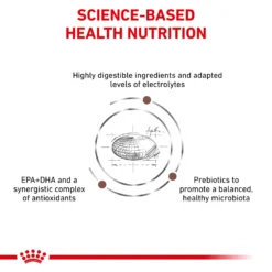 Royal Canin Veterinary Diet Feline Gastrointestinal S/O Moderate Calorie Dry Cat Food - 4kg By Royal Canin Veterinary Diet -Cat's Store Royal Canin Feline Gastro Intestinal S O Moderate Calorie Dry Cat Food 4Kg 4 scaled
