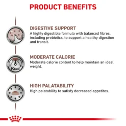 Royal Canin Veterinary Diet Feline Gastrointestinal S/O Moderate Calorie Dry Cat Food - 4kg By Royal Canin Veterinary Diet -Cat's Store Royal Canin Feline Gastro Intestinal S O Moderate Calorie Dry Cat Food 4Kg 5 scaled