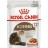 Royal Canin Feline Health Nutrition Ageing 12+ Wet Cat Food In Gravy - 48 X 85g By Royal Canin