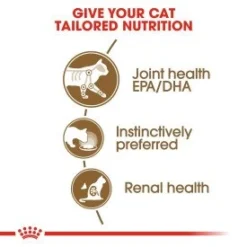 Royal Canin Feline Health Nutrition Ageing 12+ Wet Cat Food In Gravy - 48 X 85g By Royal Canin -Cat's Store Royal Canin Feline Health Nutrition Ageing 12 Wet Cat Food In Gravy 48x85g 4