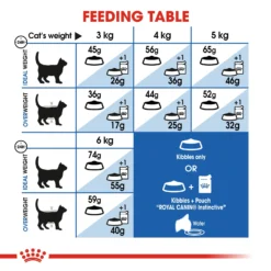 Royal Canin Indoor 27 Dry Adult Cat Food - 2kg By Royal Canin -Cat's Store Royal Canin Indoor 27 Dry Adult Cat Food 2kg 5