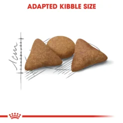 Royal Canin Feline Adult Indoor Appetite Control Dry Cat Food - 2kg By Royal Canin -Cat's Store Royal Canin Indoor Appetite Control Dry Cat Food 2kg 6