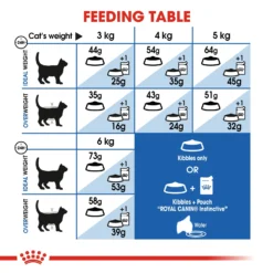 Royal Canin Indoor Longhair Dry Adult Cat Food - 2kg By Royal Canin 9 Royal Canin Indoor Longhair Dry Adult Cat Food - 2kg By Royal Canin -Cat's Store Royal Canin Indoor Longhair Dry Adult Cat Food 2kg 4