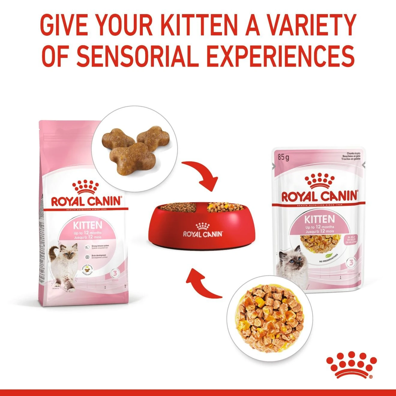 Royal Canin Feline Health Nutrition Wet Kitten Chunks In Jelly - 12 X 85g By Royal Canin 4 Royal Canin Feline Health Nutrition Wet Kitten Chunks In Jelly - 12 X 85g By Royal Canin - Image 4