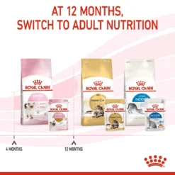 Royal Canin Feline Health Nutrition Wet Kitten Chunks In Jelly - 12 X 85g By Royal Canin 15 Royal Canin Feline Health Nutrition Wet Kitten Chunks In Jelly - 12 X 85g By Royal Canin -Cat's Store Royal Canin Kitten Instinctive Pouch in Jelly 12 x 85g 5