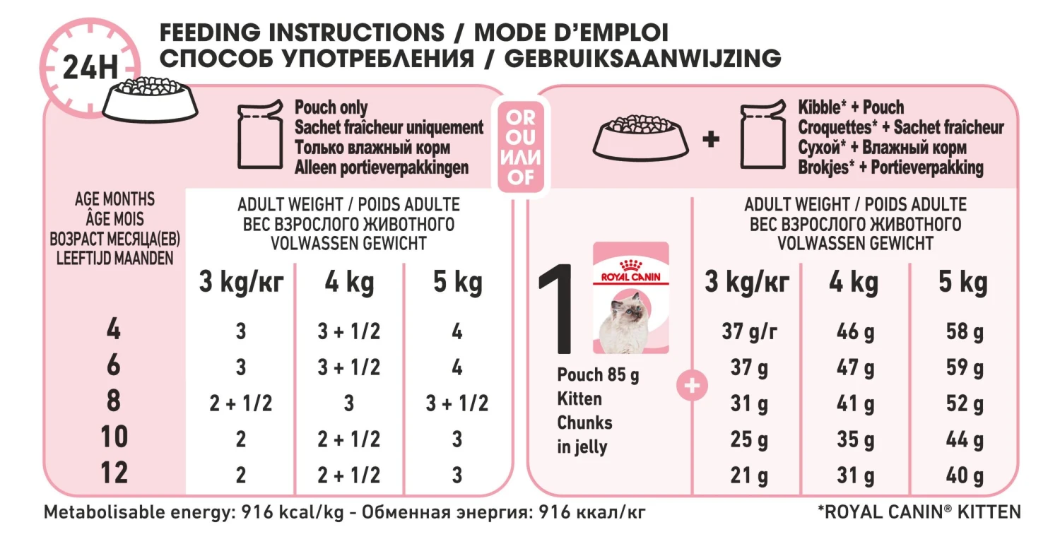 Royal Canin Feline Health Nutrition Wet Kitten Chunks In Jelly - 12 X 85g By Royal Canin 11 Royal Canin Feline Health Nutrition Wet Kitten Chunks In Jelly - 12 X 85g By Royal Canin - Image 11