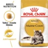 Royal Canin Maine Coon Adult Dry Cat Food - 4kg By Royal Canin