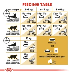 Royal Canin Maine Coon Adult Dry Cat Food - 4kg By Royal Canin -Cat's Store Royal Canin Maine Coon Dry Adult Cat Food 4kg 3