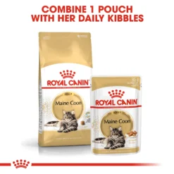 Royal Canin Maine Coon Adult Dry Cat Food - 4kg By Royal Canin -Cat's Store Royal Canin Maine Coon Dry Adult Cat Food 4kg 4