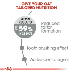 Royal Canin Oral Care Dry Adult Cat Food - 8kg By Royal Canin -Cat's Store Royal Canin Oral Care Dry Cat Food 8kg 6