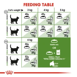 Royal Canin Outdoor 7+ Dry Adult Cat Food - 2kg By Royal Canin -Cat's Store Royal Canin Outdoor 7 Dry Cat Food 2kg 4