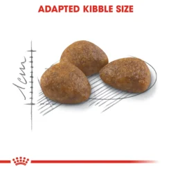 Royal Canin Outdoor 7+ Dry Adult Cat Food - 2kg By Royal Canin -Cat's Store Royal Canin Outdoor 7 Dry Cat Food 2kg 6