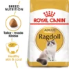 Royal Canin Ragdoll Dry Adult Cat Food - 2kg By Royal Canin