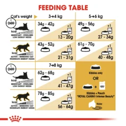 Royal Canin Ragdoll Dry Adult Cat Food - 2kg By Royal Canin 11 Royal Canin Ragdoll Dry Adult Cat Food - 2kg By Royal Canin -Cat's Store Royal Canin Ragdoll Dry Cat Food 2kg 3