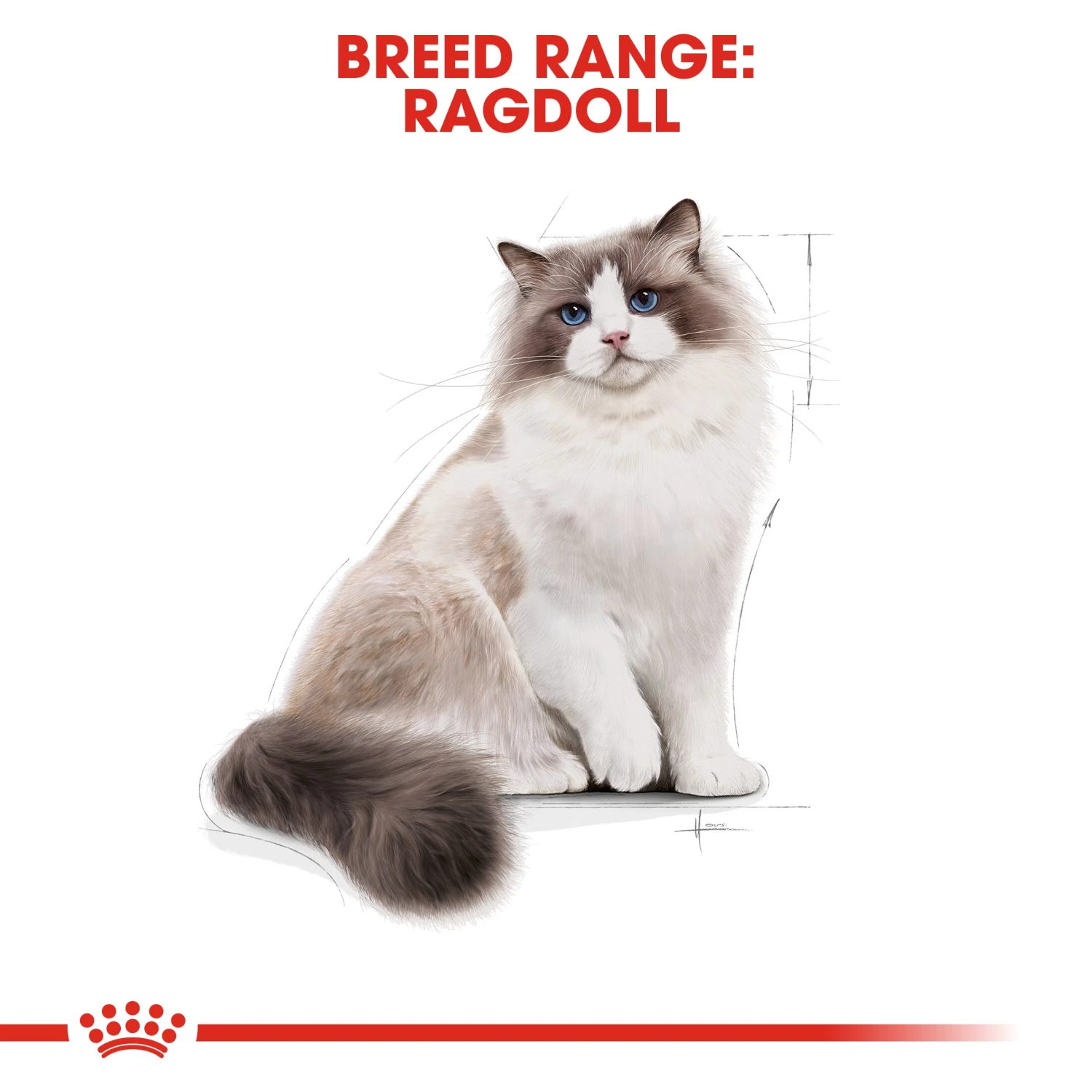Royal Canin Ragdoll Dry Adult Cat Food - 2kg By Royal Canin 8 Royal Canin Ragdoll Dry Adult Cat Food - 2kg By Royal Canin - Image 8